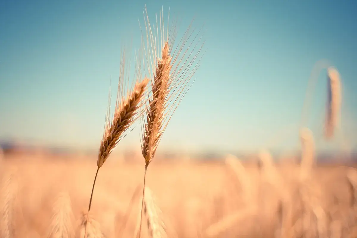 Agricultural Land Trust Update Agricultural Land Trust Update
