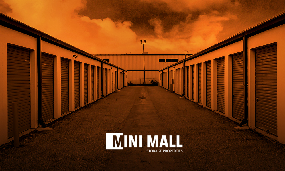 Growing in Leaps and Bounds: Mini Mall Storage Properties Surpasses $100M AUM in Our First Year