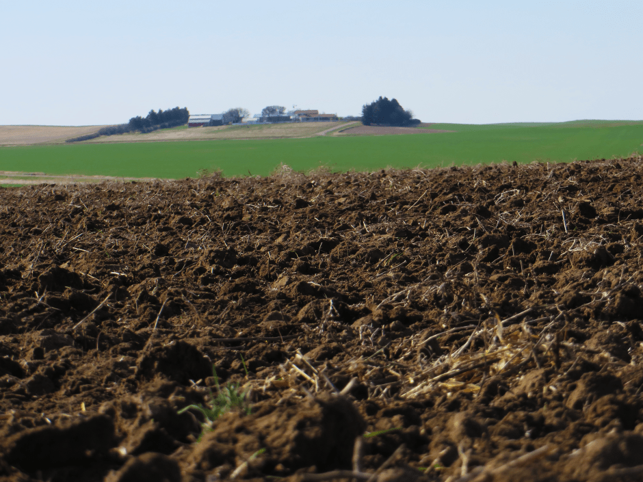 Saskatchewan Offers Fertile Farmland for Agricultural Land Trust