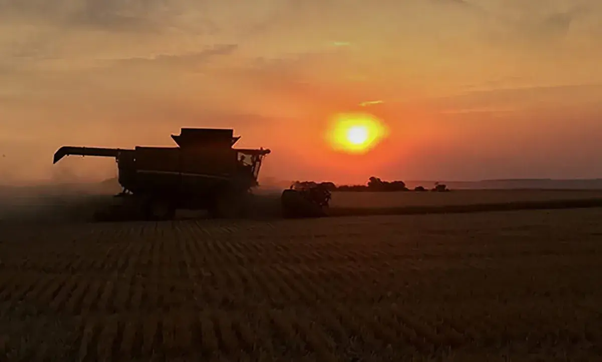 Canada’s farmland is a wise investment —during and after the coronavirus Canada’s farmland is a wise investment —during and after the coronavirus